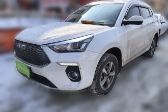 哈弗H6 Coupe 2019款 1.5T 自动两驱精英型 国V