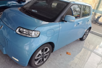 欧拉白猫 2020款 305km 豪华型