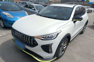 哈弗赤兔 2022款 劲享版 1.5T 紫铜兔