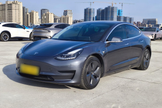 特斯拉 Model 3 2020款 改款 标准续航后驱升级版