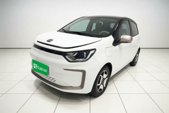 思皓 花仙子 2021款 302km 豪华型 31.4kWh