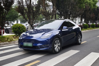 特斯拉 Model Y 2021款 标准续航后驱版