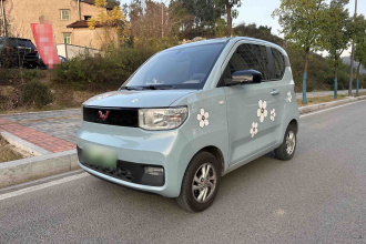 五菱汽车 宏光MINIEV 2020款 悦享款 磷酸铁锂