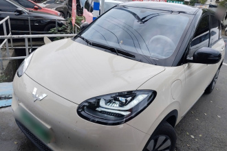 五菱汽车 五菱缤果 2025款 333km 灵犀互联款