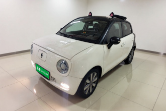 欧拉黑猫 2021款 351km 豪华型