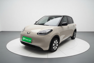 五菱汽车 五菱缤果 2023款 333km 灵犀互联+款