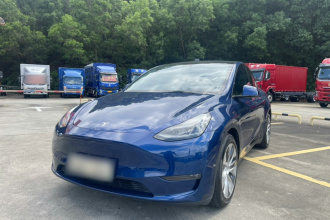 特斯拉 Model Y 2021款 标准续航后驱版