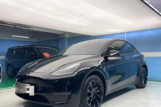 特斯拉 Model Y 2023款 长续航全轮驱动版