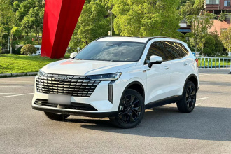 哈弗H6 2024款 1.5T 两驱Ultra