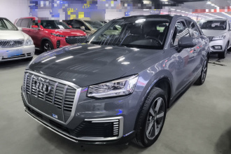 奥迪Q2L e-tron 2019款 Q2L e-tron 纯电智享型