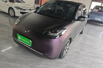五菱汽车 五菱缤果 2023款 203km 舒享款