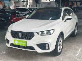 魏牌 VV5 2020款 1.5T 两驱颜先锋