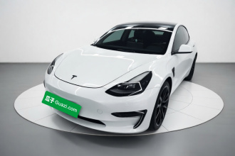 特斯拉 Model 3 2021款 Performance高性能全轮驱动版 3D6