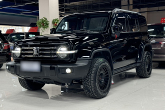 坦克300 2024款 2.0T 穿越者