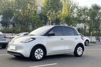 五菱汽车 五菱缤果 2023款 333km 快享款