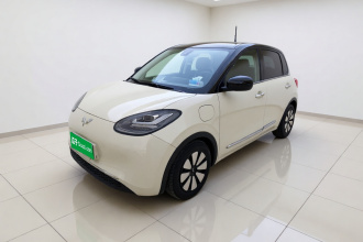 五菱汽车 五菱缤果 2023款 333km 灵犀互联款