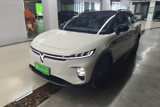 岚图汽车 岚图知音 2024款 长续航智享版