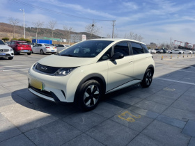 比亚迪 海豚 2025款 420km 自由版