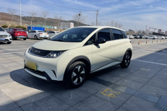 比亚迪 海豚 2025款 420km 自由版