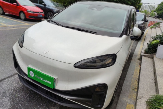 ARCFOX极狐 极狐考拉 2023款 家庭版