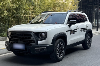 哈弗大狗 2024款 2.0T DCT中华田园犬版