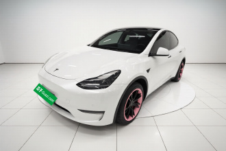 特斯拉 Model Y 2021款 标准续航后驱版