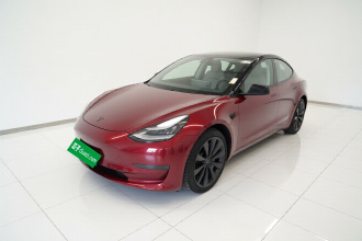 特斯拉 Model 3 2019款 标准续航后驱升级版