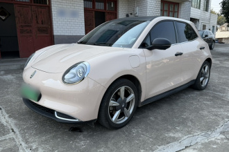 欧拉好猫 2023款 401km标准续航 尊荣型 磷酸铁锂