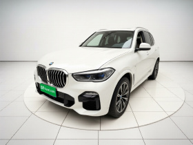 宝马X5(进口) 2019款 xDrive40i M运动套装
