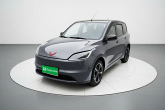 五菱汽车 五菱宏光新能源 2024款 纯电版 300KM 标准型