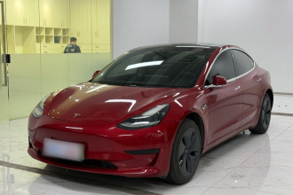 特斯拉 Model 3 2020款 标准续航后驱升级版