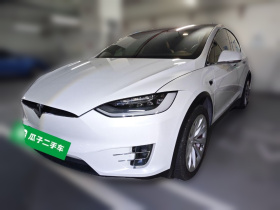 特斯拉 Model X 2019款 长续航版
