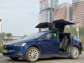 特斯拉 Model X 2019款 长续航版