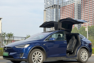 特斯拉 Model X 2019款 长续航版