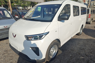 五菱汽车 五菱扬光 2024款 300KM 舒适型客车版 75kW