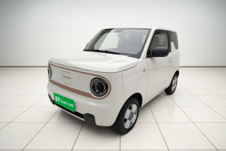 吉利银河 2024款 熊猫mini 200km 耐力熊