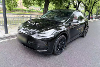 特斯拉 Model Y 2022款 后轮驱动版