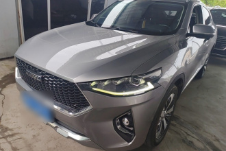 哈弗F7x 2019款 1.5T 两驱极智潮玩版