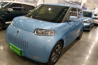 欧拉白猫 2020款 305km 豪华型