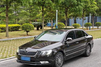 斯柯达 速派 2013款 2.0TSI DSG尊仕版