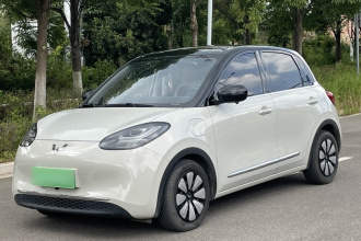五菱汽车 五菱缤果 2023款 333km 灵犀互联款