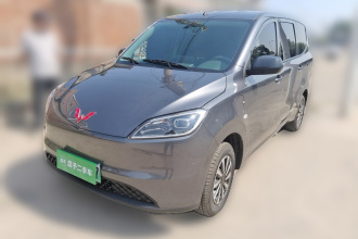 五菱汽车 五菱宏光新能源 2024款 纯电版 300KM 标准型