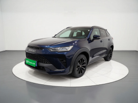 哈弗H6S 2022款 2.0T 两驱悦跑版