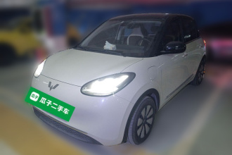 五菱汽车 五菱缤果 2023款 333km 灵犀互联款