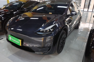 特斯拉 Model Y 2024款 后轮驱动版