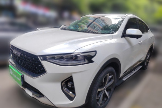 哈弗F7x 2019款 1.5T 两驱极智潮玩版