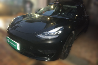 特斯拉 Model 3 2019款 标准续航后驱升级版