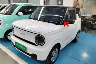 吉利银河 2024款 熊猫mini 200km 耐力熊