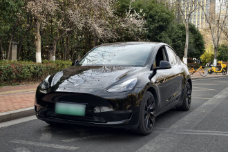 特斯拉 Model Y 2021款 标准续航后驱版