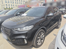 魏牌 VV6 2018款 2.0T 两驱旗舰型 国V